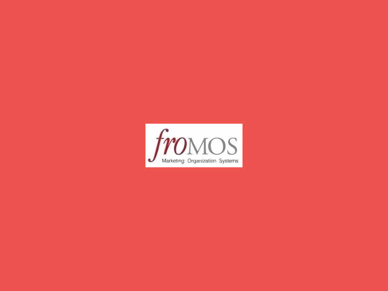 froMOS Ansprechpartner China